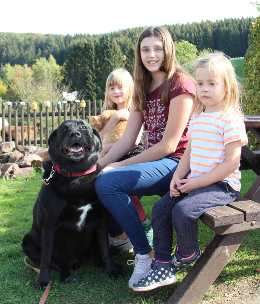 Kinder mit Hund