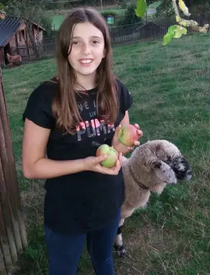 Kind mit Äpfeln und Schaf