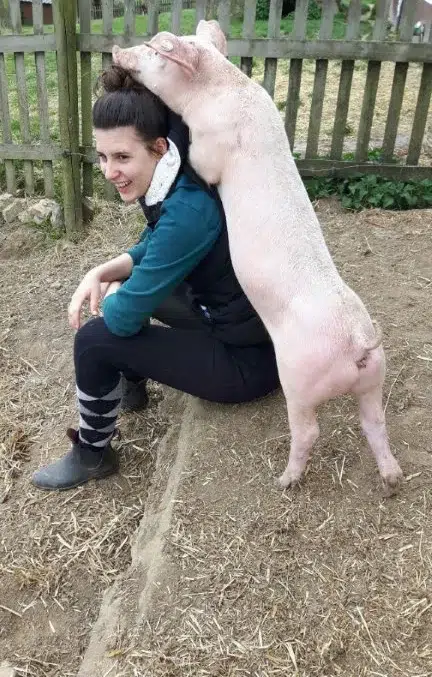 Schwein spielt mit Mensch