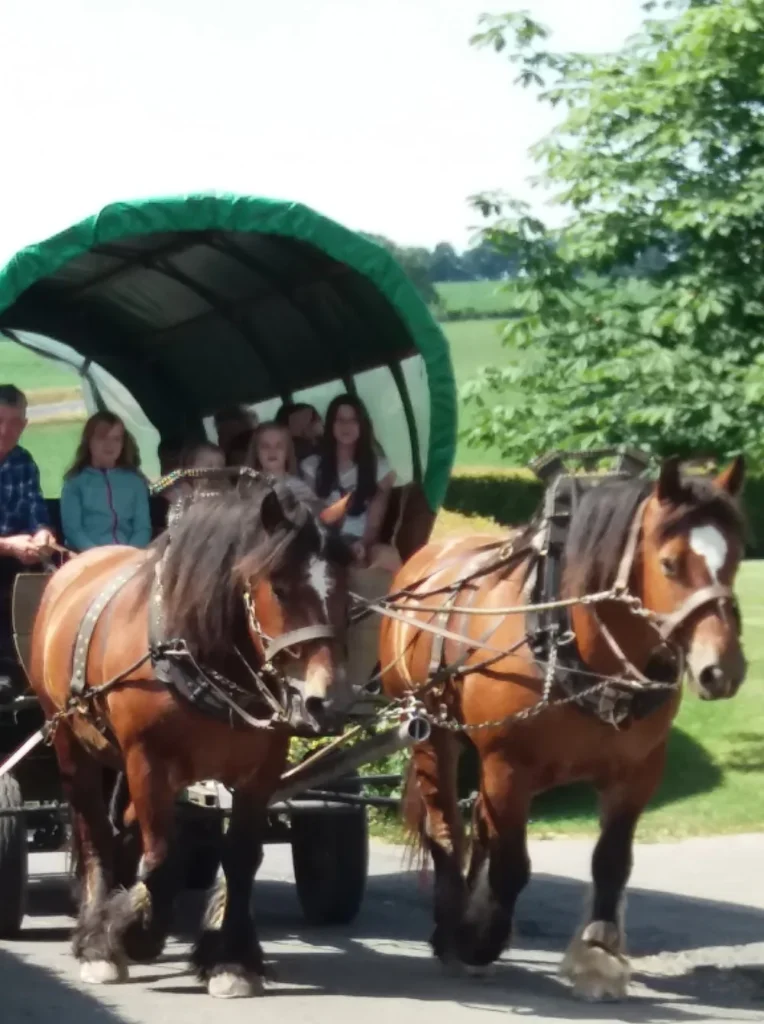 Kutschfahrt mit Pferden