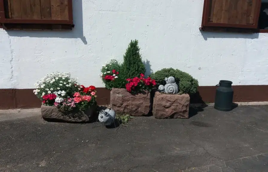 Blumendekoration vor Hauswand