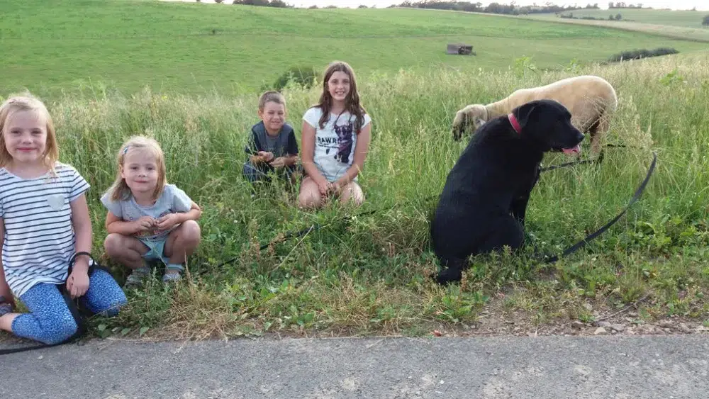 Kinder mit Hunden