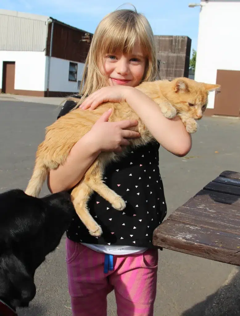 Kind hält Katze